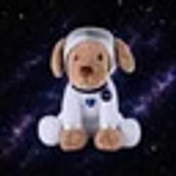 JUDE