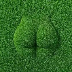 grASS