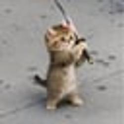 CATANA
