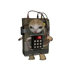 C4T