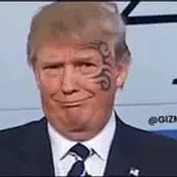 tttt