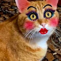 CATERINE