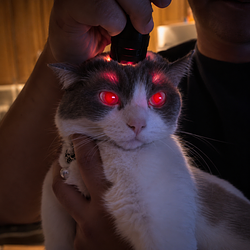 Hellcat