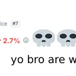 buyitnigga / SOL