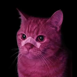 MOCHI