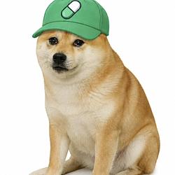 PUMPDOG / SOL