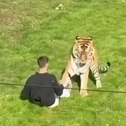 Man