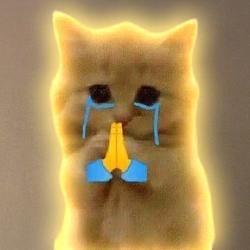 pls