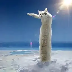 LOOOOOOOOOOOO