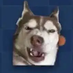KORA