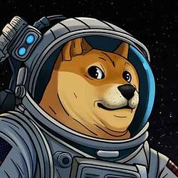 DOGE-1