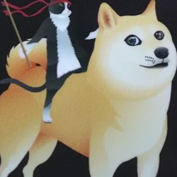 ninjacat / SOL