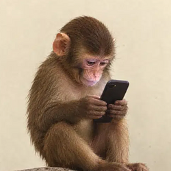 FONE