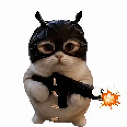 crimecat / SOL