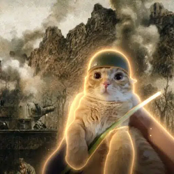 TrenchCat / SOL