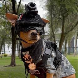 Commando