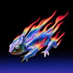 lizard