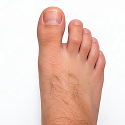 FOOT