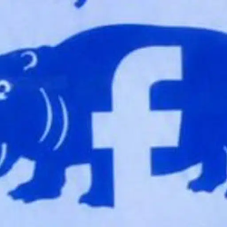 HIPPO / SOL