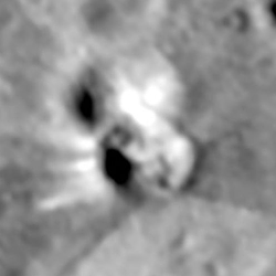 FOMOCRATER