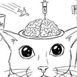 psyopcat / SOL