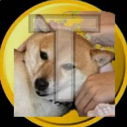 TSUKI