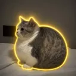 CATBALL / SOL