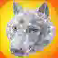 JEWELINU / WETH