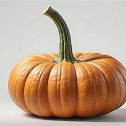 kin