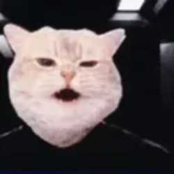 I AM NOT A CAT