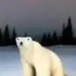 IceBear