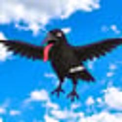 Flying Fentanyl Crow (FFC) logo