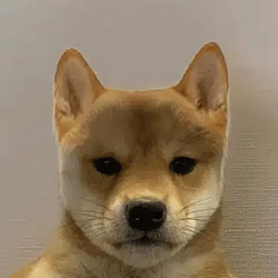 SI