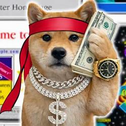 CASHDOG / SOL