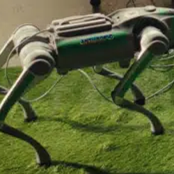 ROBODOG