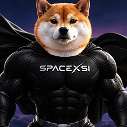 SXSI