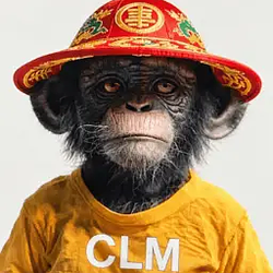 CLM / SOL