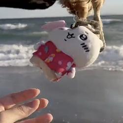 ENOSHIMA
