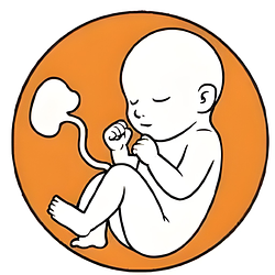 9MONTHS