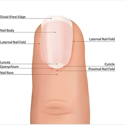 nail