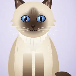 CCat