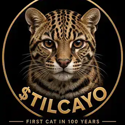 TILCAYO