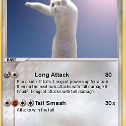 LONGCAT / SOL