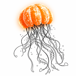 JELLY