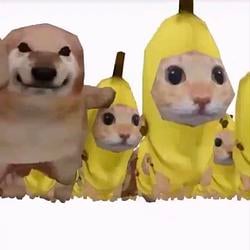 PEEL