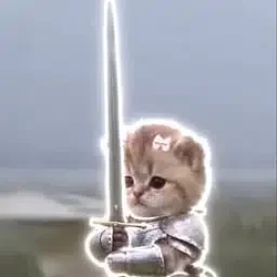 kitty