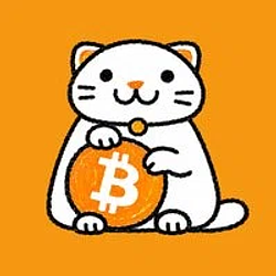 Neko / SOL