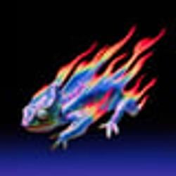 lizard