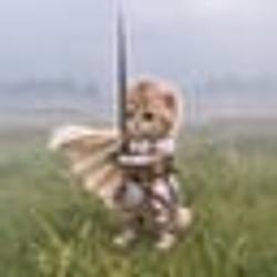 knightcat