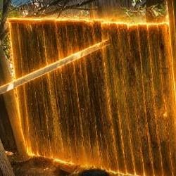FENCE / SOL